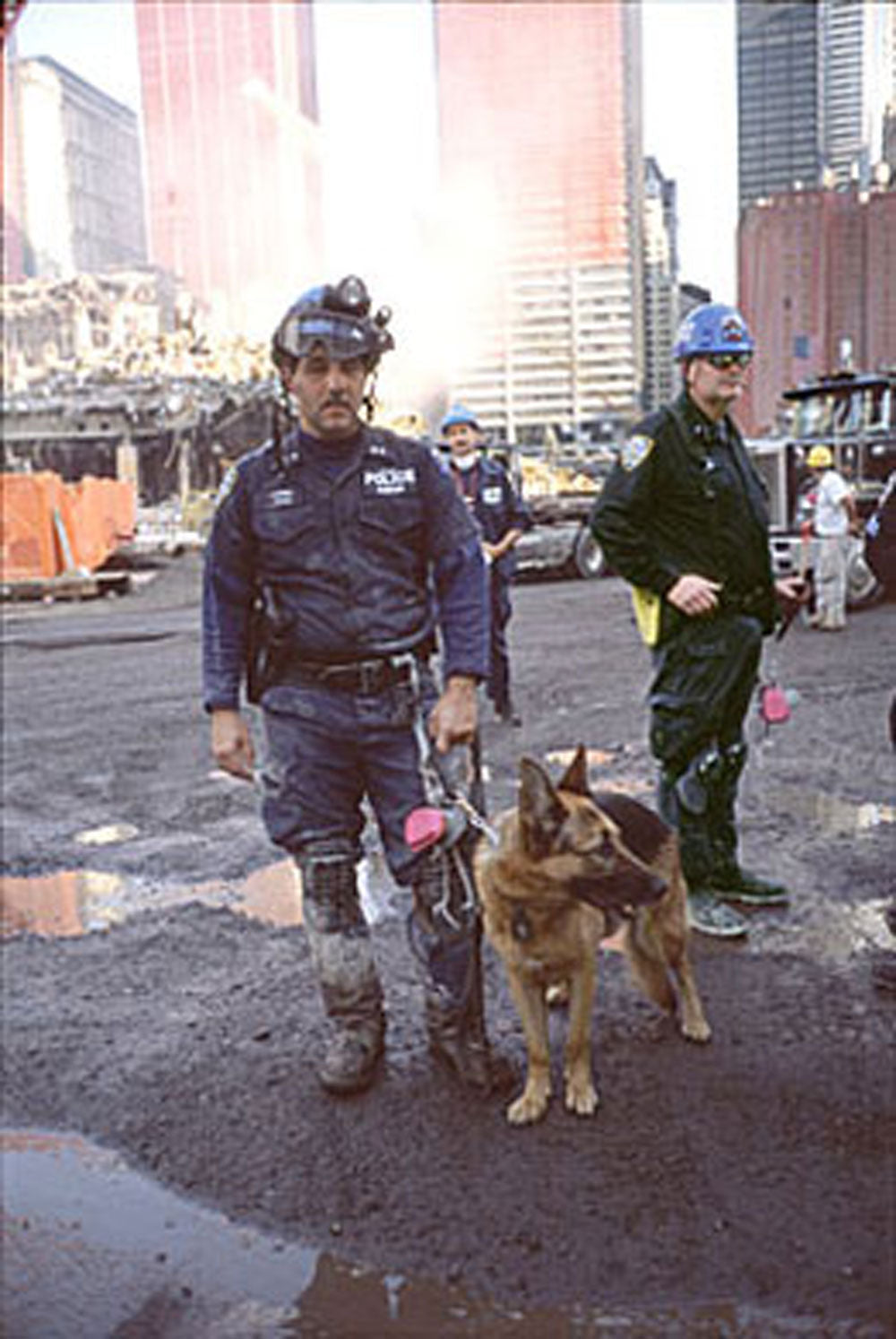 Oficial y perro pastor alemán en Ground Zero