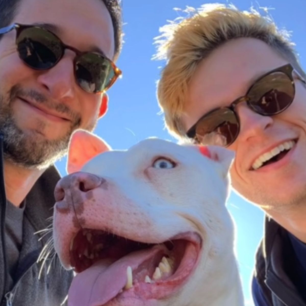Blu con la pareja