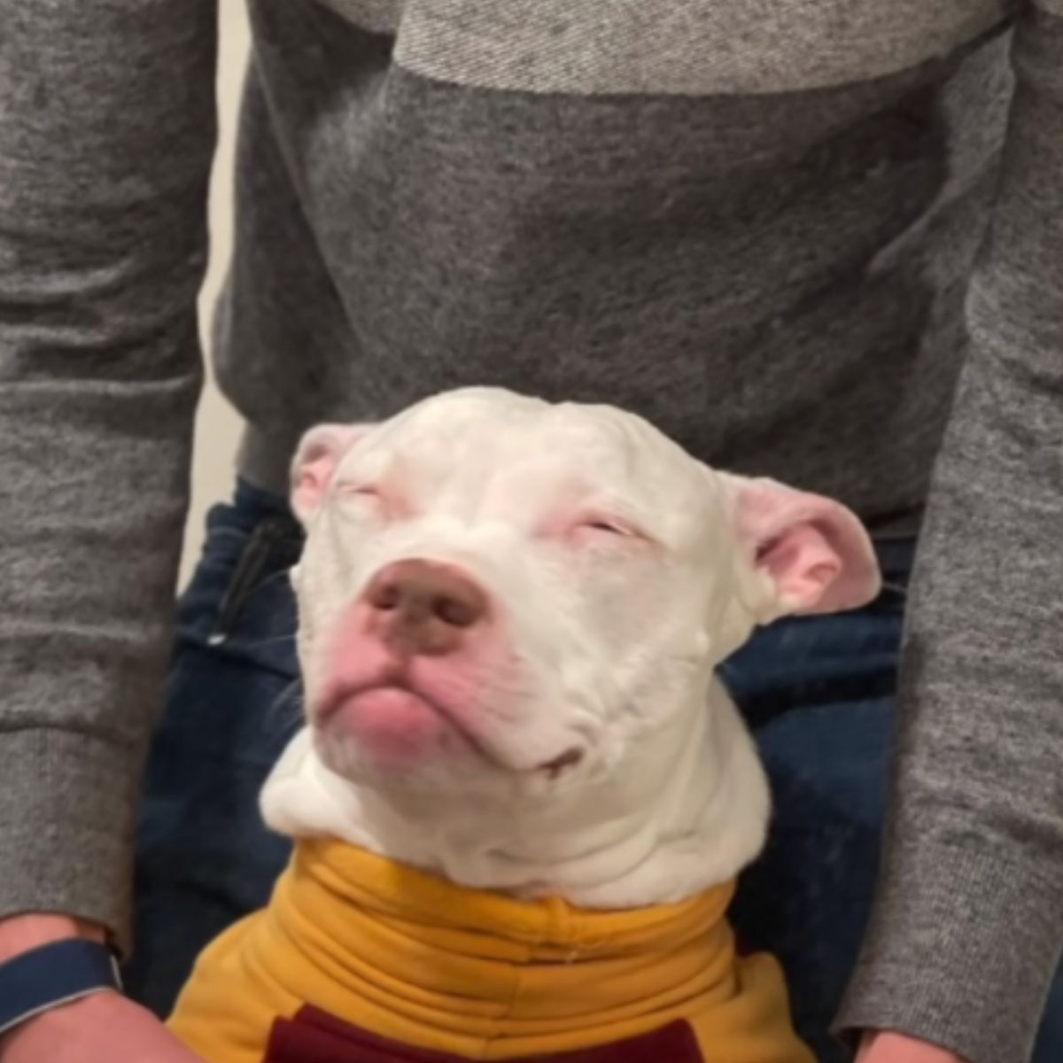 Blu con su dueño