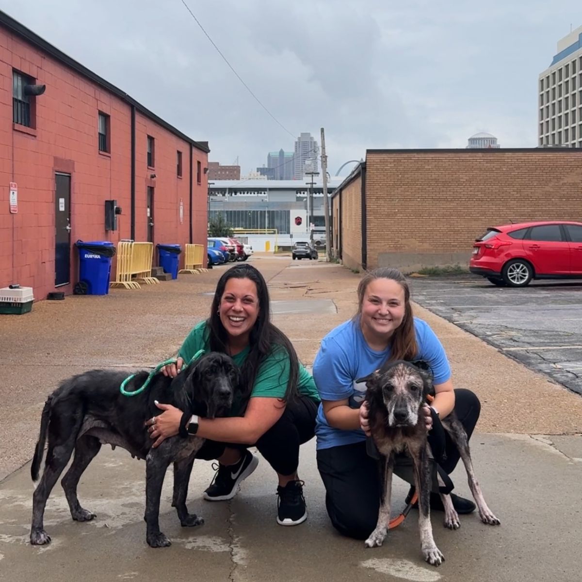 dos mujeres con dos perros