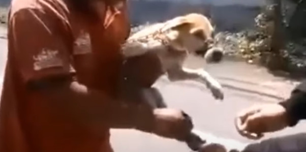 MO comiendo tras su rescate