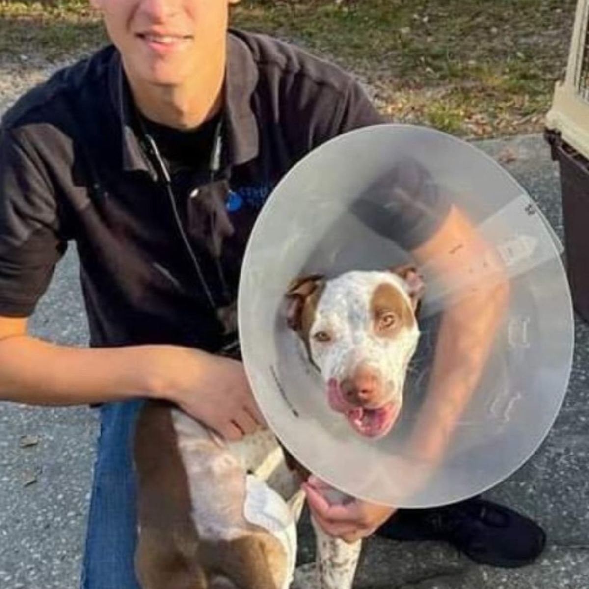 Propietario con perro