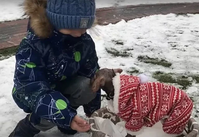 Perro feliz con su nueva familia