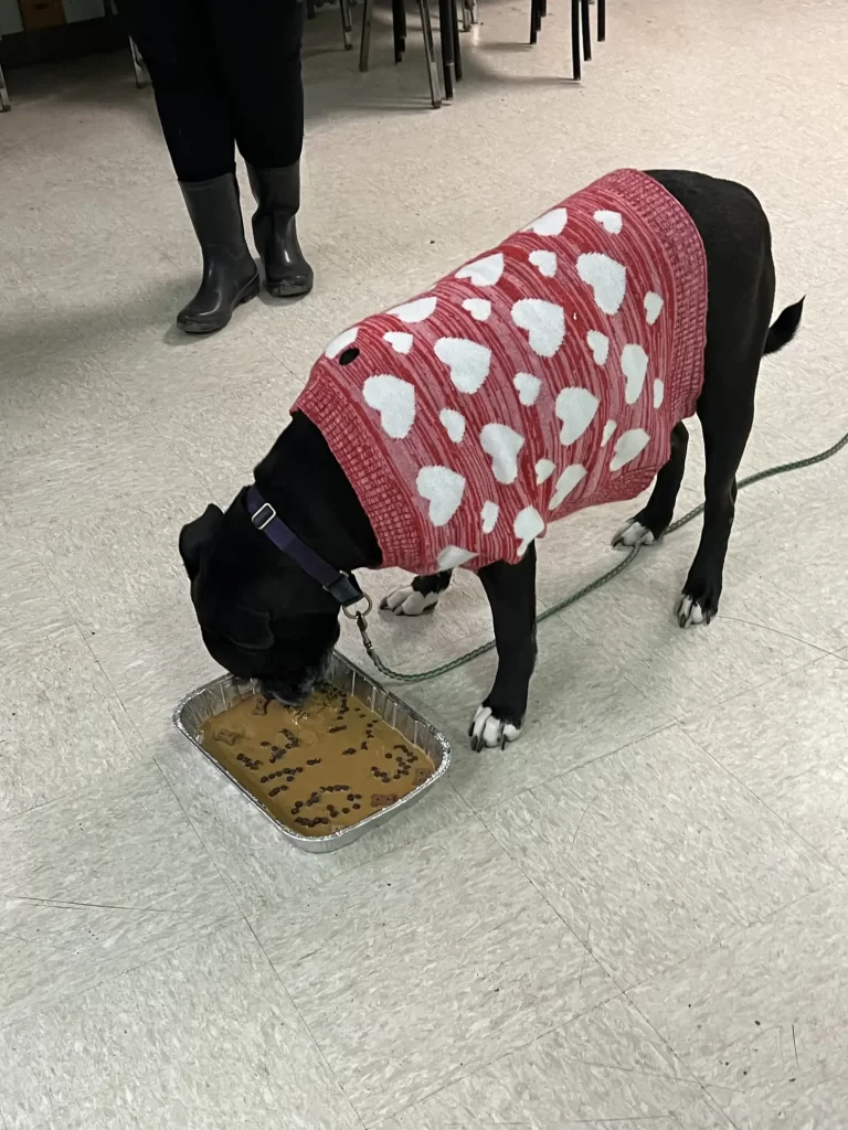 Elle feliz