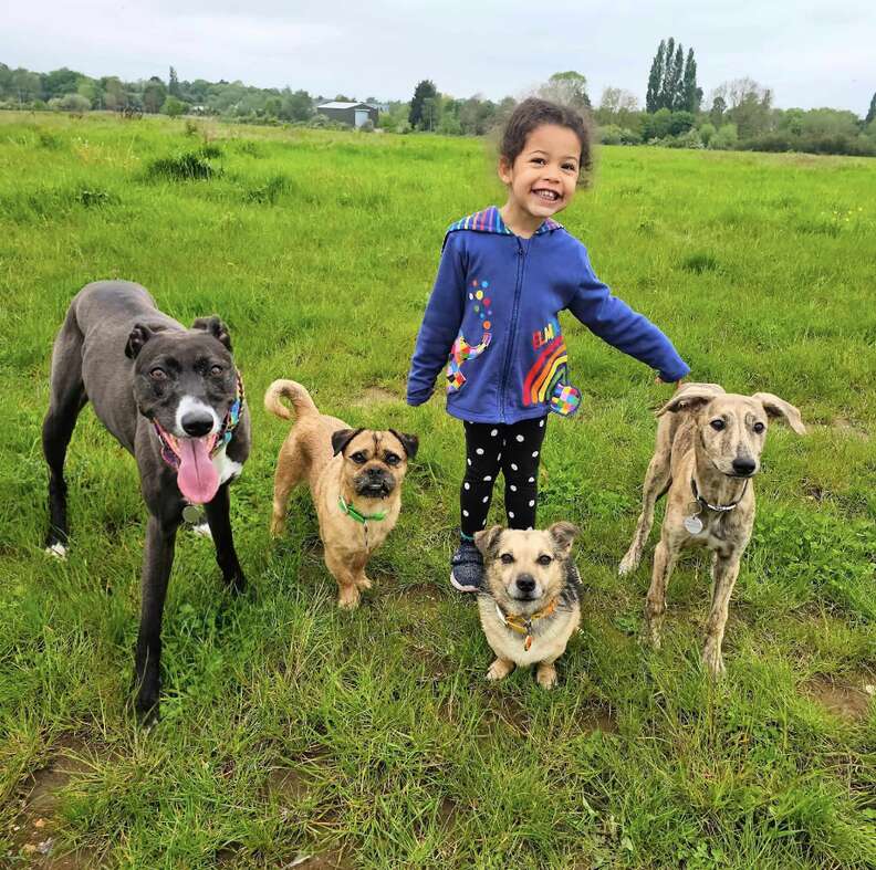 Familia canina