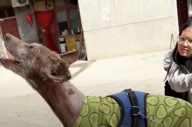 Duofu empezando a recuperarse