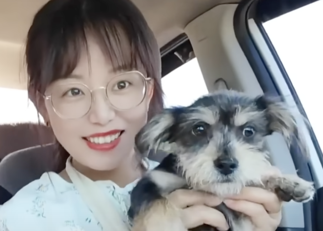 Yuanbao en casa