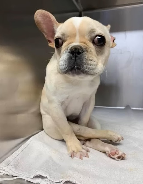 Harold en recuperación