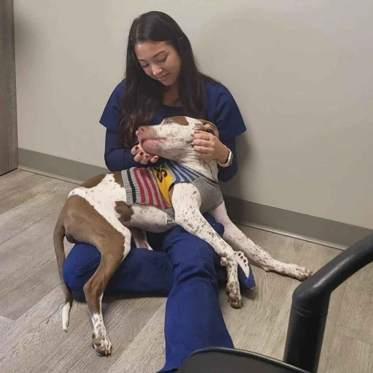 Veterinario con perro